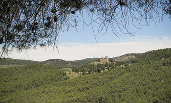 Country house Casa Bons Aires (Adults Only) Alcoy